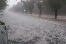 Las precipitaciones de los últimos 10 días ocurridas en nuestro país llevaron alivio a algunas zonas, fueron excesivas en Corrientes y Misiones. Foto: MDZ