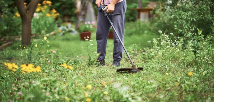 Aprovecha los beneficios que te brinda este fertilizante orgánico Foto: Shutterstock