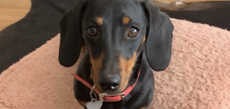 Millones de personas siguen esta historia en el mundo. Foto: Archivo