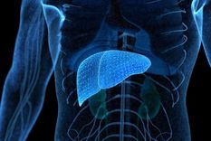 El hígado graso se puede combatir.&nbsp;