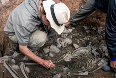 El descubrimiento hecho por arqueólogos de Italia Foto: MinisteriodeCulturadePerú.