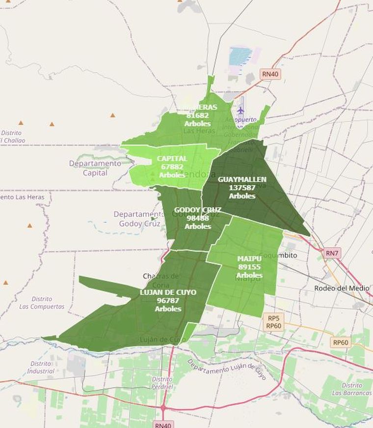En el Área Metropolitana de Mendoza, hay 615.853 árboles en la vía pública.