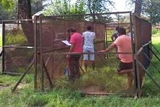 Las personas dentro de la jaula por violar la cuarentena en Jujuy Las personas dentro de la jaula por violar la cuarentena en Jujuy