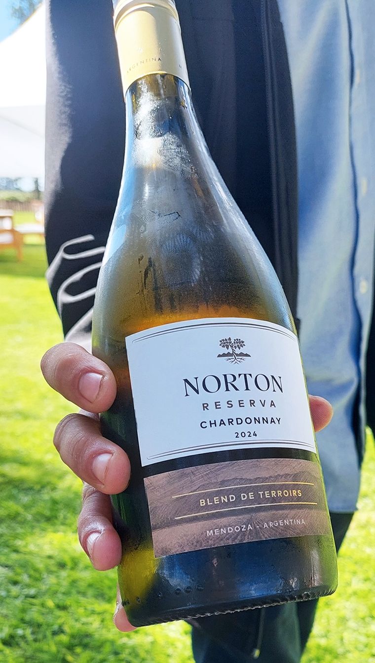 bodega norton vino chardonnay.jpg