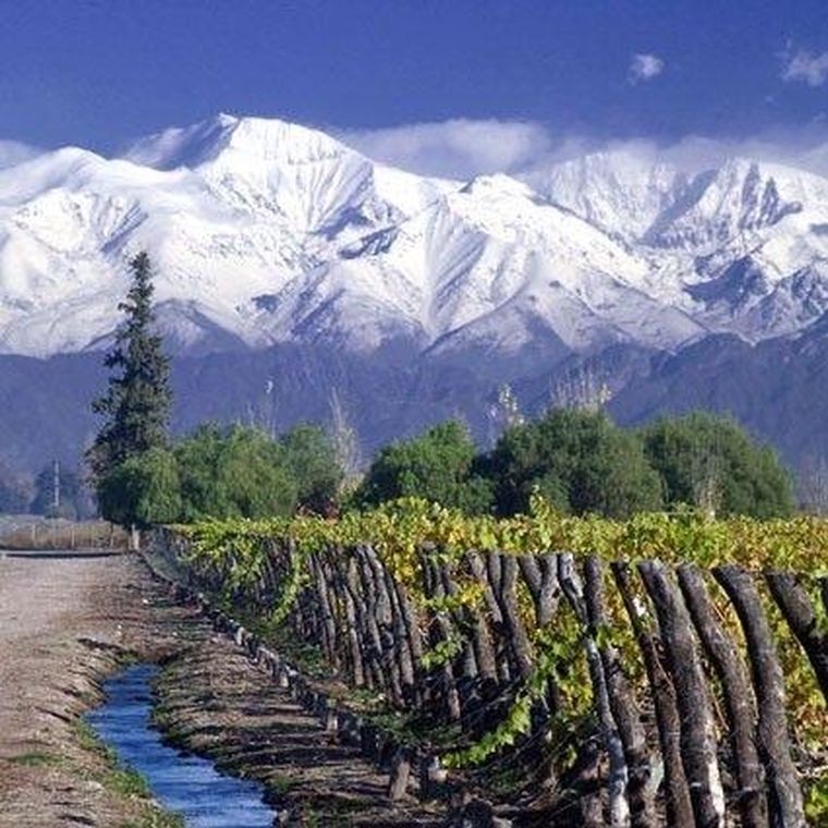 Mendoza... ¡Maravillosa!