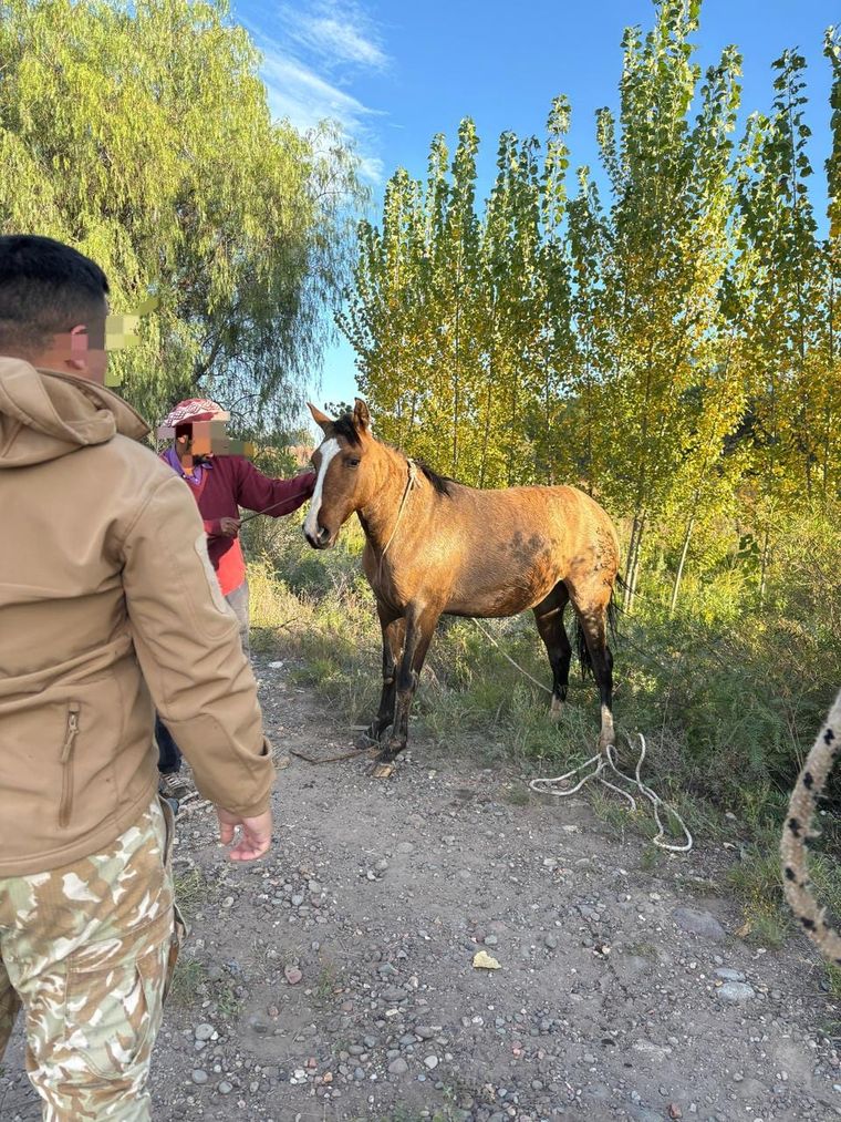 Foto: Ministerio de Seguridad