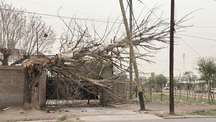 Hay daños como consecuencia del fuerte viento.&nbsp;