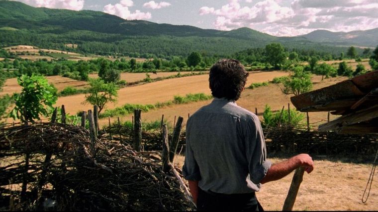 Los viñedos se alejan para los locales Foto: Gentileza