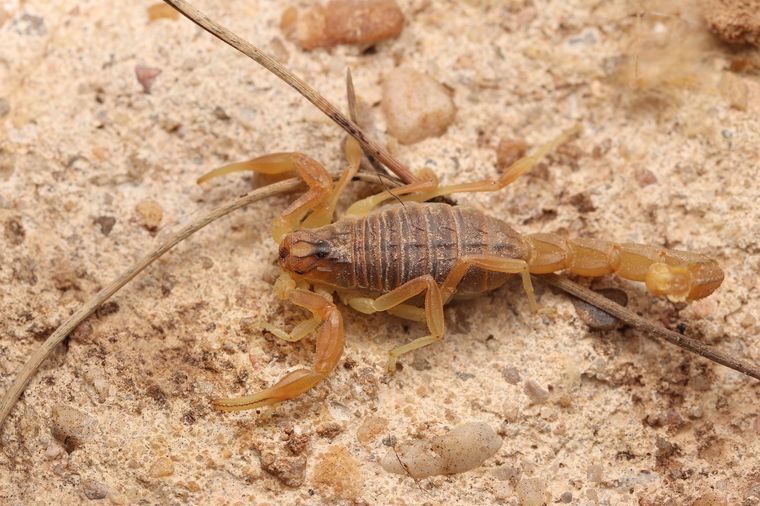 Un sueño inquietante. Foto: Fuente: Shutterstock