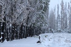 La nieve se adelantó al invierno (foto ilustrativa) Foto: Gentileza La nieve se adelantó al invierno (foto ilustrativa) Foto: Gentileza