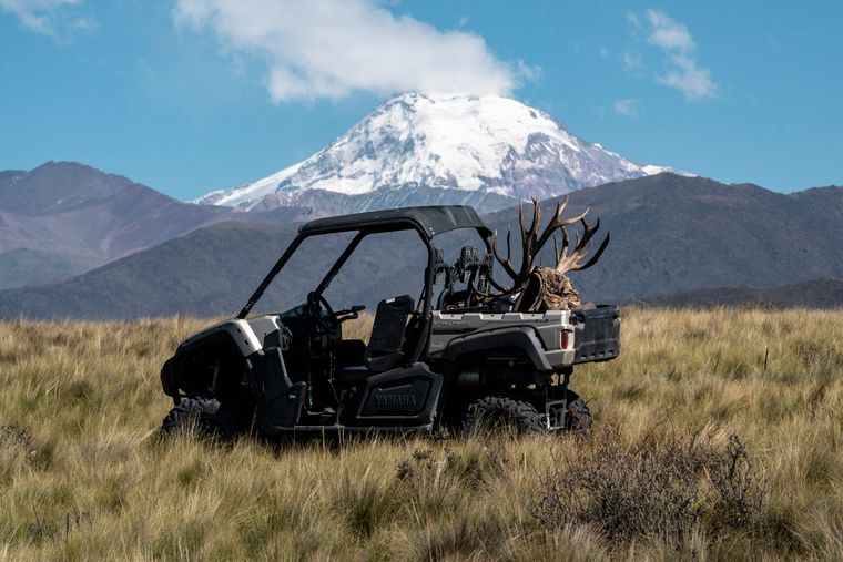 El Gobierno sostiene que la caza es una herramienta para controlar fauna exótica invasora, mientras organizaciones cuestionan la existencia de negocios asociados. El Gobierno sostiene que la caza es una herramienta para controlar fauna exótica invasora, mientras organizaciones cuestionan la existencia de negocios asociados.