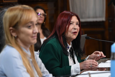 El Senado aprobó el pliego para extenderle el cargo a Figueroa Foto: Senado El Senado aprobó el pliego para extenderle el cargo a Figueroa Foto: Senado