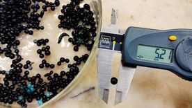 Un equipo del CONICET desarrolló un material innovador, en base a carbón activado modificado con sales metálicas, para remover simultáneamente diferentes contaminantes del agua. Foto: gentileza investigadores Un equipo del CONICET desarrolló un material innovador, en base a carbón activado modificado con sales metálicas, para remover simultáneamente diferentes contaminantes del agua. Foto: gentileza investigadores