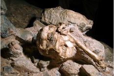 little foot, un esqueleto de tres millones de anos