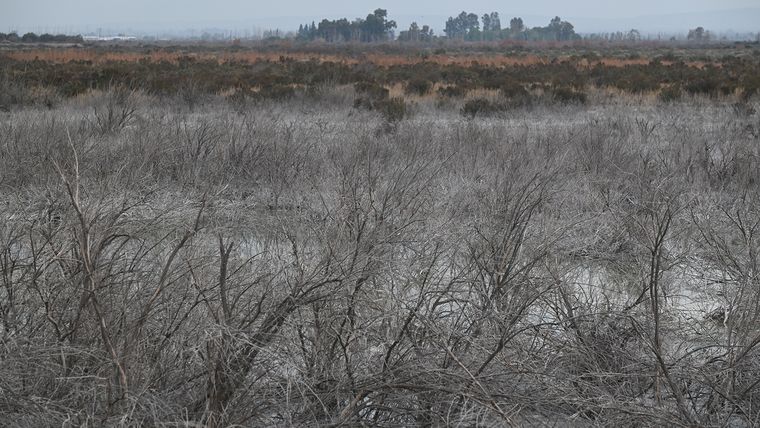 En la zona se respira un aire nauseabundo. En la zona se respira un aire nauseabundo.