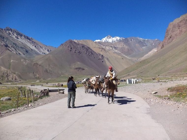 La respuesta del Gobierno tras la denuncia en Aconcagua Foto: Prensa Gobierno de Mendoza