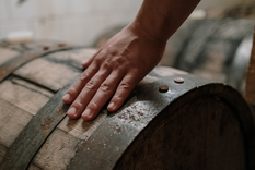 El empleo es presencial Foto: marquesdelatrio.com