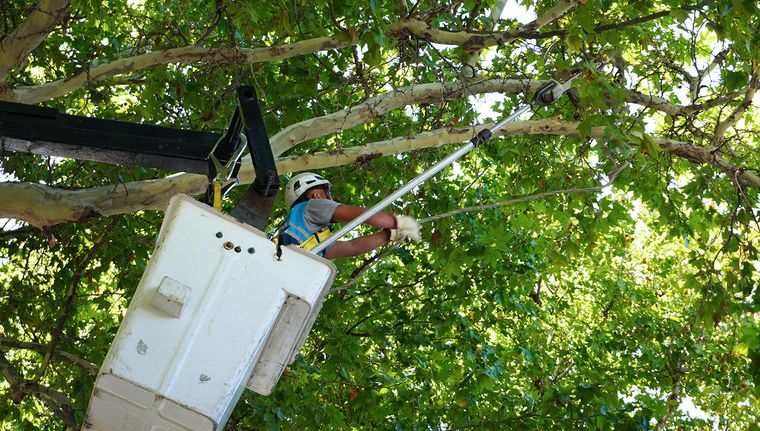 Desrame en plena Arístides a las 10 de la mañana. Drama para la circulación. Foto: Rodrigo DAngelo / MDZ