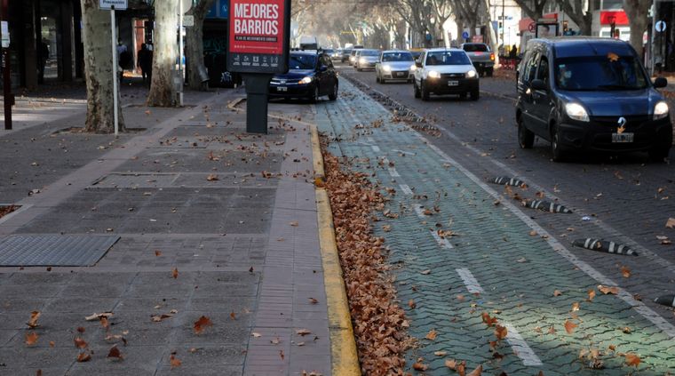 El SMN lanzó alerta por viento Zonda para este miércoles Foto: ALF PONCE MERCADO / MDZ