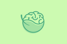 Test de personalidad Test de personalidad