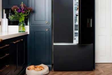 MDZol | Foto: Crédito de la imagen: Fisher y Paykel