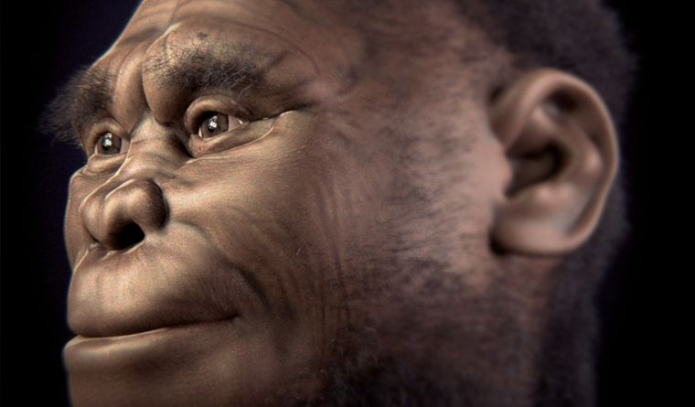 Reconstrucción facial forense del LB1 de la especie Homo floresiensis. Foto: Wikipedia.