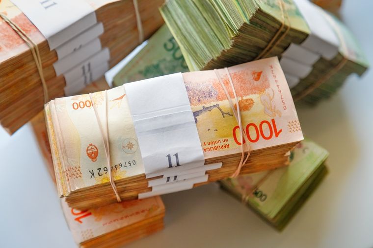 Peso argentino, ¿sí o no? La palabra de un especialista Foto: Shutterstock