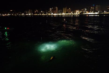 El Via Crusis submarino es una tradición de Semana Santa en la ciudad de Puerto Madryn. El Via Crusis submarino es una tradición de Semana Santa en la ciudad de Puerto Madryn.