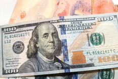 Foto: Walter Moreno / MDZ. Foto realizada con Moto G72