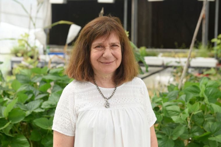 La científica Raquel Chan, destacada a nivel mundial. Foto Gentileza Fundación Bunge y Born