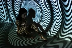 la conexión entre el intestino y el cerebro no se limita a los nervios o al sistema nervioso. Foto: Pexels