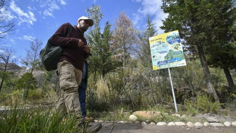 ¿Cómo podríamos mejorar la biodiversidad en una ciudad ya construida y con poco lugar para lo natural? Foto: MDZ