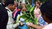 Productores entregarán frutas y verduras en la Ciudad de Mendoza para reclamar por el bajo precio. Productores entregarán frutas y verduras en la Ciudad de Mendoza para reclamar por el bajo precio.