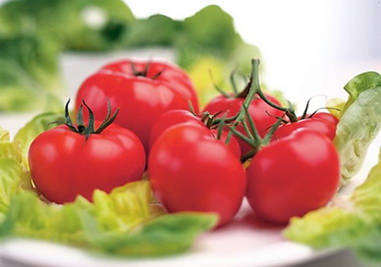 El tomate se incrementó entre un 60% y 75% durante septiembre. Foto: web