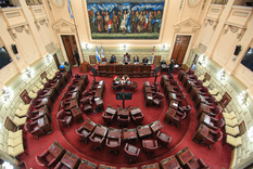Legislatura En las PASO se definirá quiénes quedan como candidatos para pelear por las 50 bancas que se definen en las elecciones generales de septiembre Foto: Prensa Diputados Santa Fe