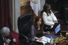 La ley de Bienes Personales se aprobó este miércoles en el Senado. Foto: Telam