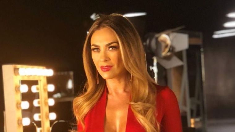 Aracely Arámbula, Luis Miguel