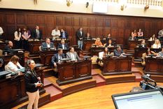 La Cámara de Senadores de Mendoza. Imagen de archivo. Foto: ALF PONCE MERCADO / MDZ La Cámara de Senadores de Mendoza. Imagen de archivo. Foto: ALF PONCE MERCADO / MDZ