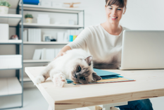 quienes trabajan en google pueden asistir con sus mascotas