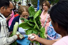 Productores entregarán frutas y verduras en la Ciudad de Mendoza para reclamar por el bajo precio.&nbsp;