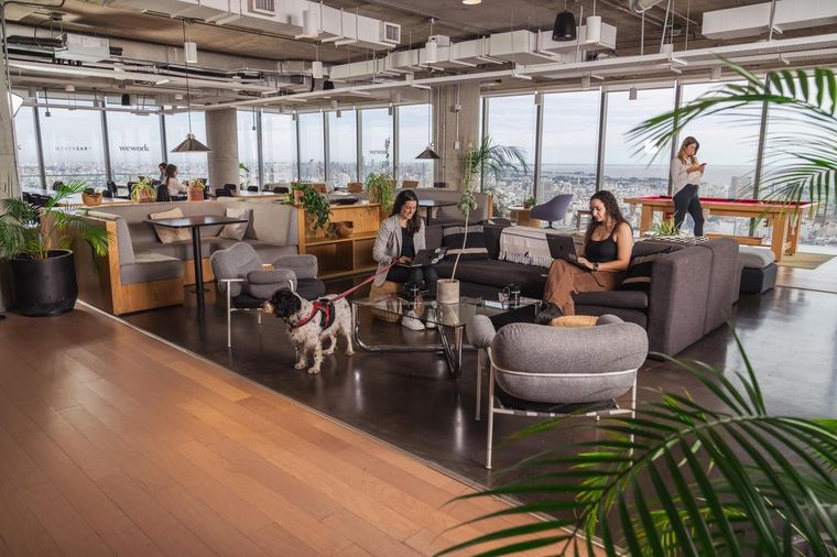 Espacios comunes de trabajo de WeWork Foto: WeWork