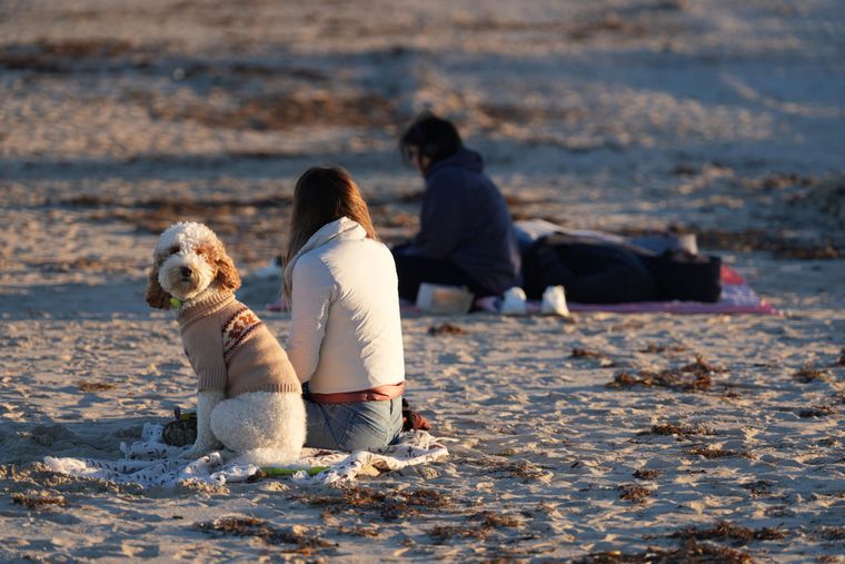 En medio de la ola polar en Miami, la gente se acercó a la playa a descansar el domingo. En medio de la ola polar en Miami, la gente se acercó a la playa a descansar el domingo.