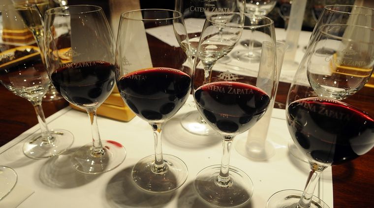 Venir dispuesto a probar Foto: ALF PONCE MERCADO / MDZ