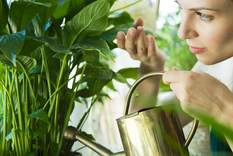 El vinagre tiene múltiples beneficios, inclusive para tus plantas. Foto: First of Women -  https://www.firstforwomen.com/wp-content/uploads/sites/2/2018/11/apple-cider-vinegar-for-plants-ph-balance.jpg