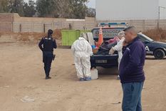 La mujer fue encontrada en un descampado de Las Heras. El sospechoso tiene un extenso prontuario.&nbsp;