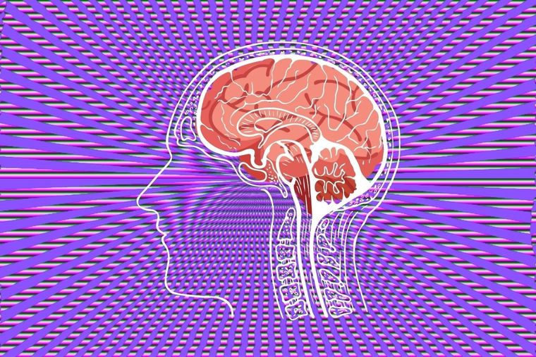 Test visual Test visual, Ilusión óptica Foto: Canva