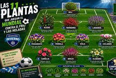 Algunas plantas alcanzan su mejor momento justamente cuando llegan las temperaturas más bajas.