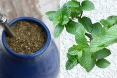 como preparar un buen mate con menta para estos dias de otono