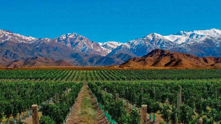 Tour de vinos por el Valle de Uco. Foto:tourandhotels.com