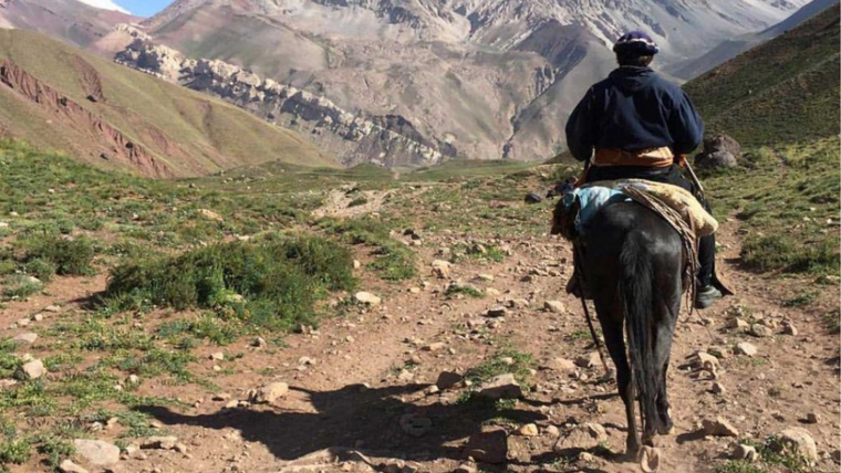 El puesto fue lanzado por el Colegio de Médicos Veterinarios de Mendoza Foto: Tripin Argentina